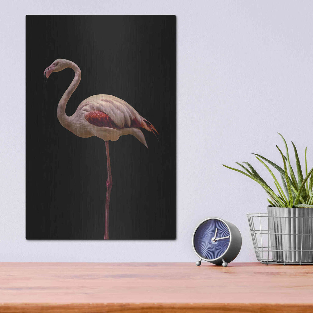 Luxe Metal Art 'Flamingo' by Incado, Metal Wall Art,12x16