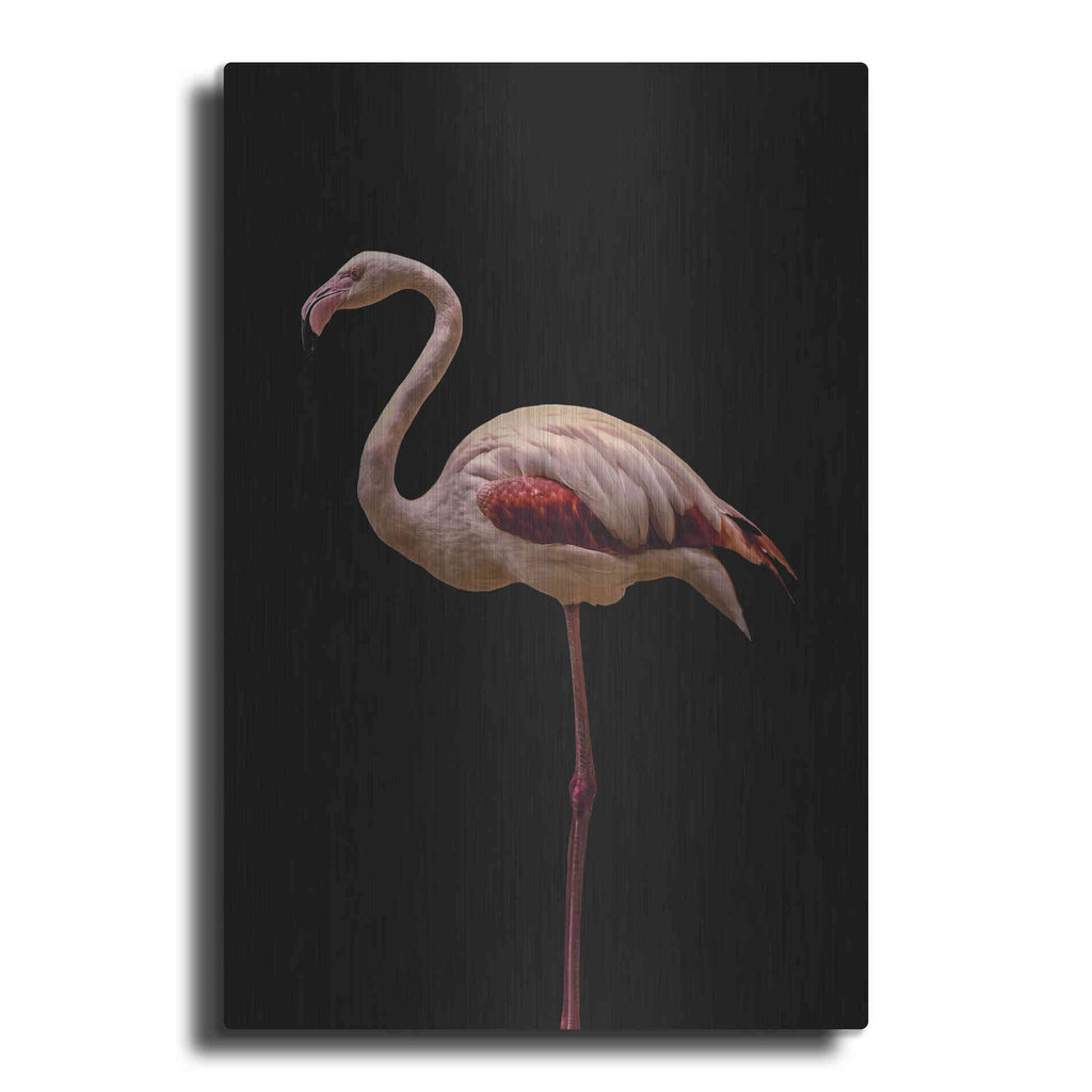 Luxe Metal Art 'Flamingo' by Incado, Metal Wall Art