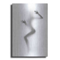 Luxe Metal Art 'Flattened' by Incado, Metal Wall Art