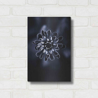 Luxe Metal Art 'Flower Bloom 2' by Incado, Metal Wall Art,12x16