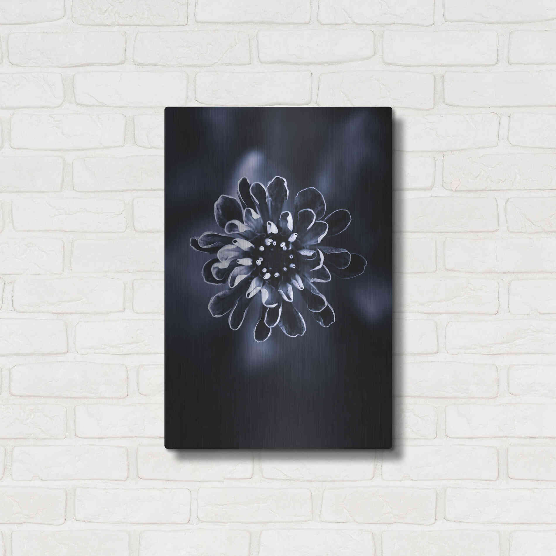 Luxe Metal Art 'Flower Bloom 2' by Incado, Metal Wall Art,16x24