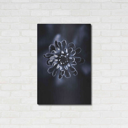 Luxe Metal Art 'Flower Bloom 2' by Incado, Metal Wall Art,24x36