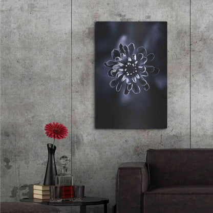 Luxe Metal Art 'Flower Bloom 2' by Incado, Metal Wall Art,24x36