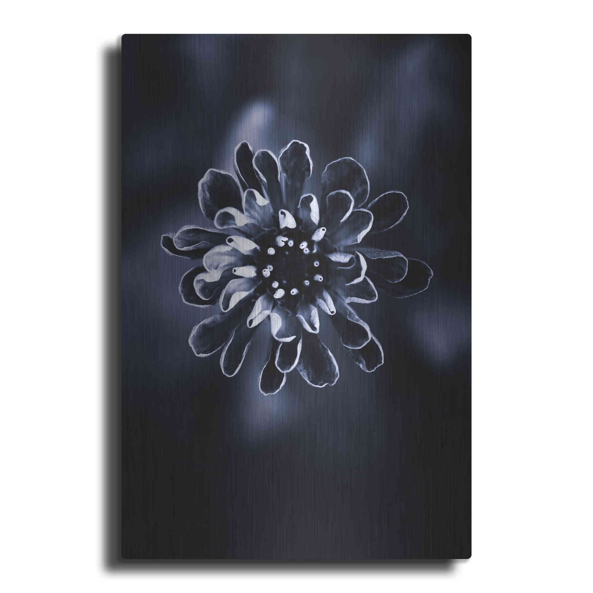 Luxe Metal Art 'Flower Bloom 2' by Incado, Metal Wall Art