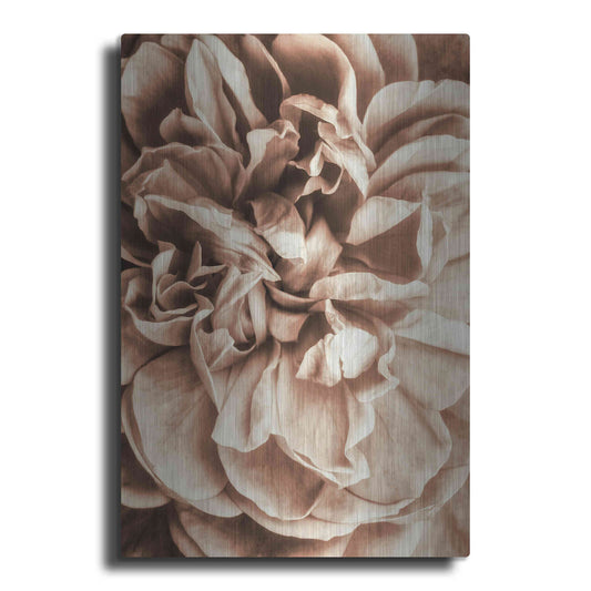 Luxe Metal Art 'Flower Bloom 3' by Incado, Metal Wall Art