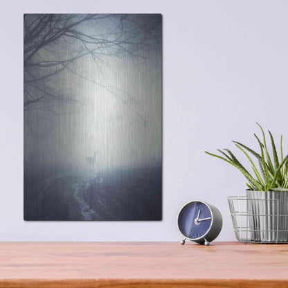 Luxe Metal Art 'Foggy Morning Hike' by Incado, Metal Wall Art,12x16