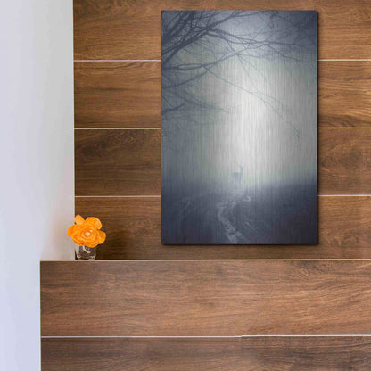 Luxe Metal Art 'Foggy Morning Hike' by Incado, Metal Wall Art,12x16