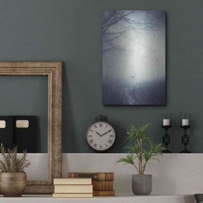 Luxe Metal Art 'Foggy Morning Hike' by Incado, Metal Wall Art,12x16