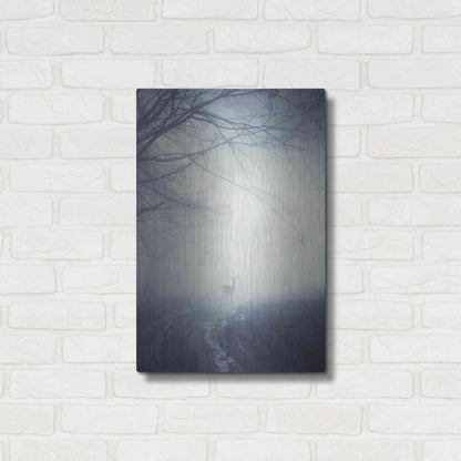 Luxe Metal Art 'Foggy Morning Hike' by Incado, Metal Wall Art,16x24
