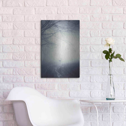 Luxe Metal Art 'Foggy Morning Hike' by Incado, Metal Wall Art,16x24