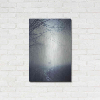 Luxe Metal Art 'Foggy Morning Hike' by Incado, Metal Wall Art,24x36