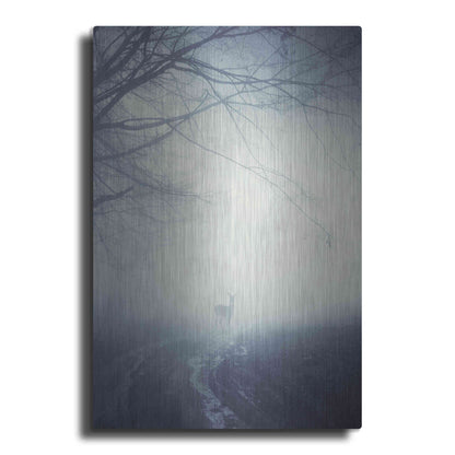 Luxe Metal Art 'Foggy Morning Hike' by Incado, Metal Wall Art