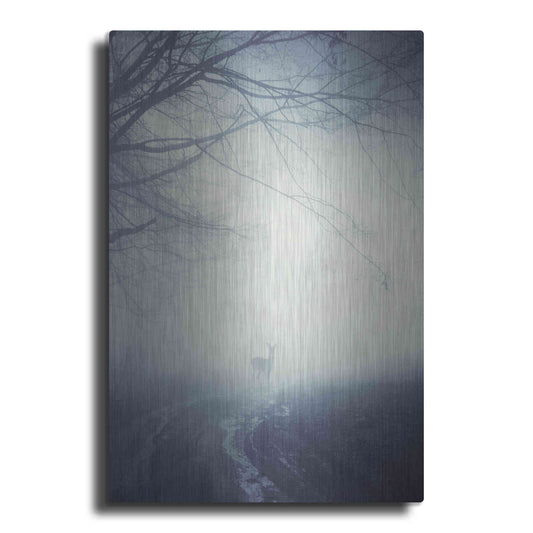 Luxe Metal Art 'Foggy Morning Hike' by Incado, Metal Wall Art