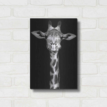 Luxe Metal Art 'Giraffe' by Incado, Metal Wall Art,12x16