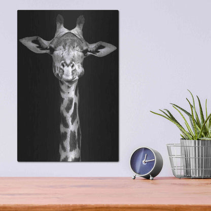 Luxe Metal Art 'Giraffe' by Incado, Metal Wall Art,12x16