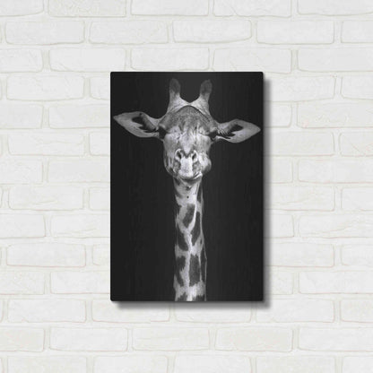 Luxe Metal Art 'Giraffe' by Incado, Metal Wall Art,16x24