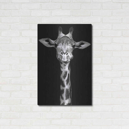 Luxe Metal Art 'Giraffe' by Incado, Metal Wall Art,24x36