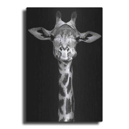 Luxe Metal Art 'Giraffe' by Incado, Metal Wall Art