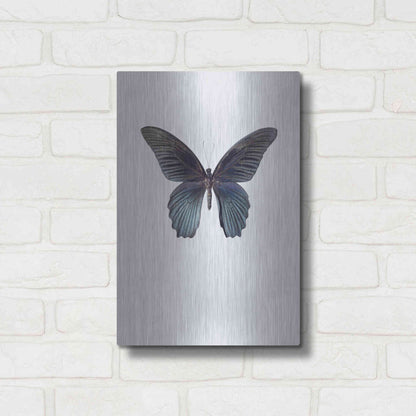 Luxe Metal Art 'Great Mormon' by Incado, Metal Wall Art,12x16