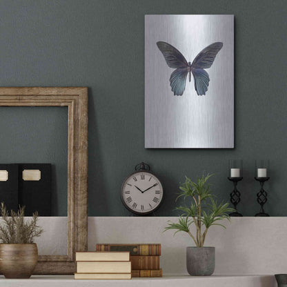 Luxe Metal Art 'Great Mormon' by Incado, Metal Wall Art,12x16