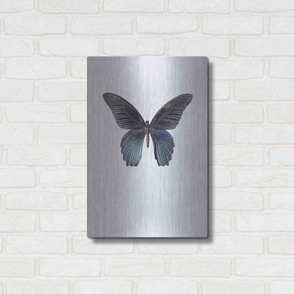 Luxe Metal Art 'Great Mormon' by Incado, Metal Wall Art,16x24