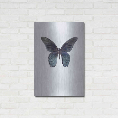 Luxe Metal Art 'Great Mormon' by Incado, Metal Wall Art,24x36