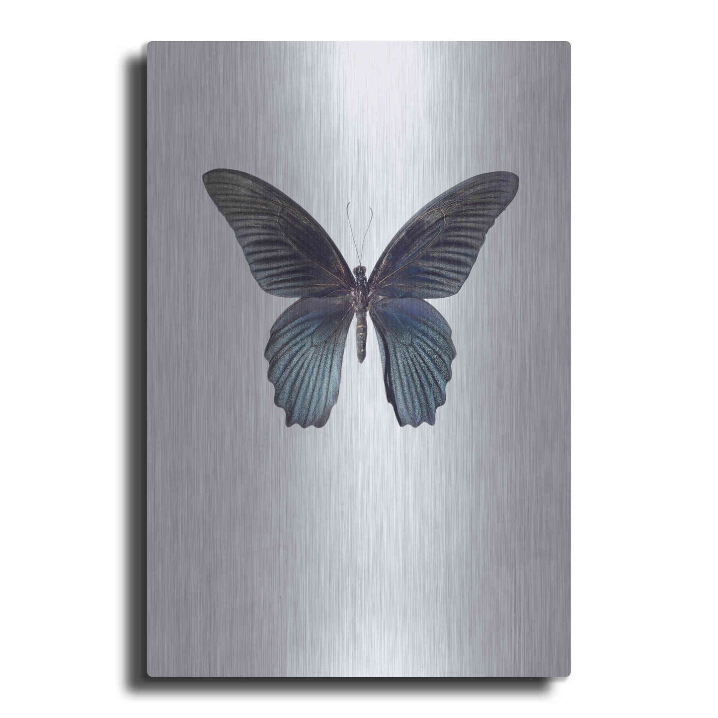 Luxe Metal Art 'Great Mormon' by Incado, Metal Wall Art