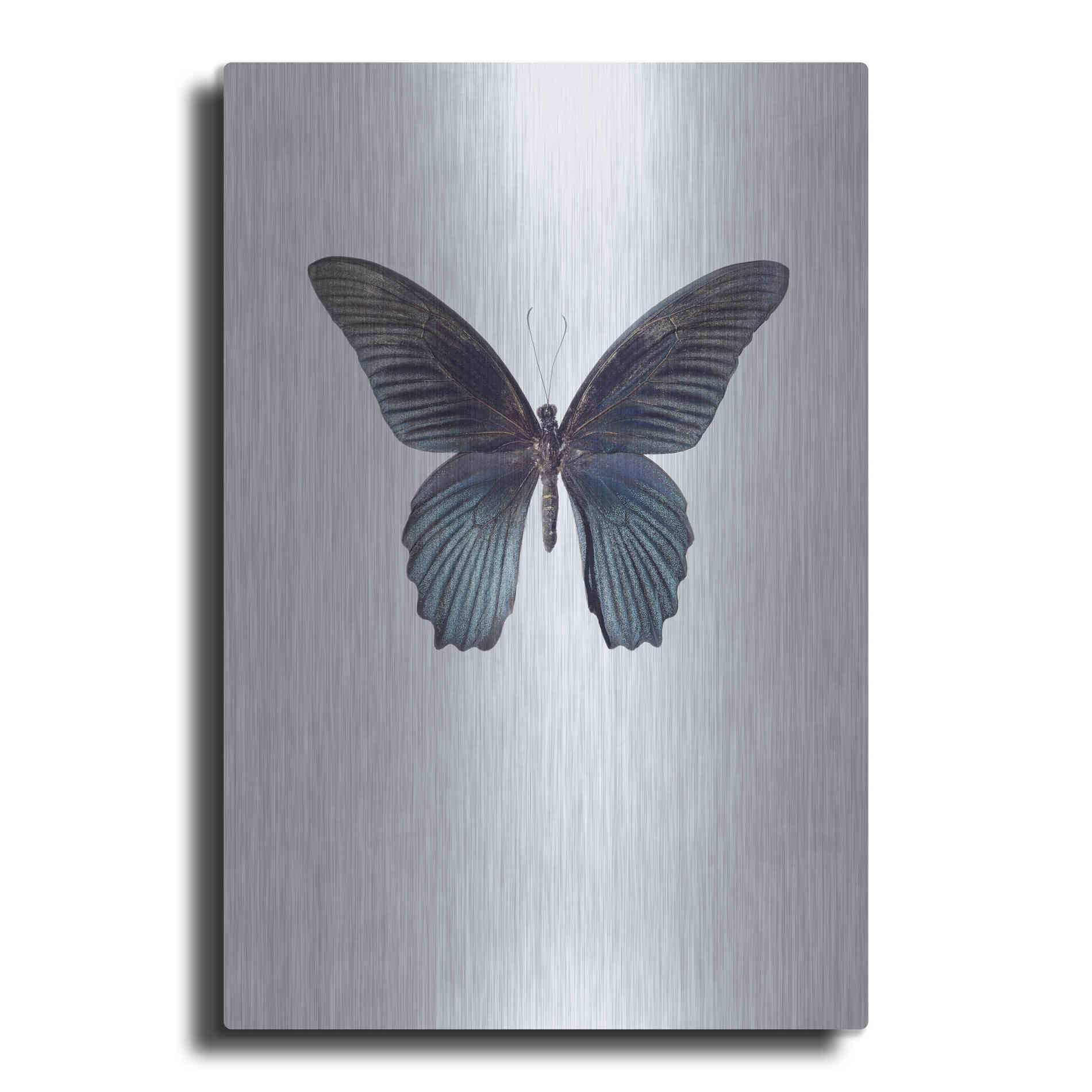 Luxe Metal Art 'Great Mormon' by Incado, Metal Wall Art