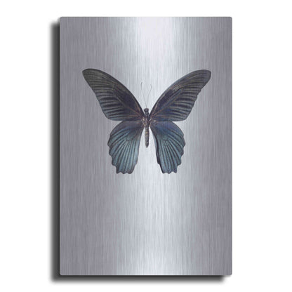 Luxe Metal Art 'Great Mormon' by Incado, Metal Wall Art