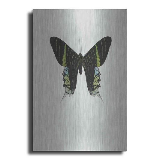 Luxe Metal Art 'Green Butterfly' by Incado, Metal Wall Art