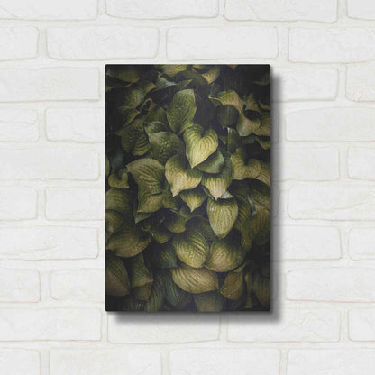 Luxe Metal Art 'Hostas Leaves' by Incado, Metal Wall Art,12x16