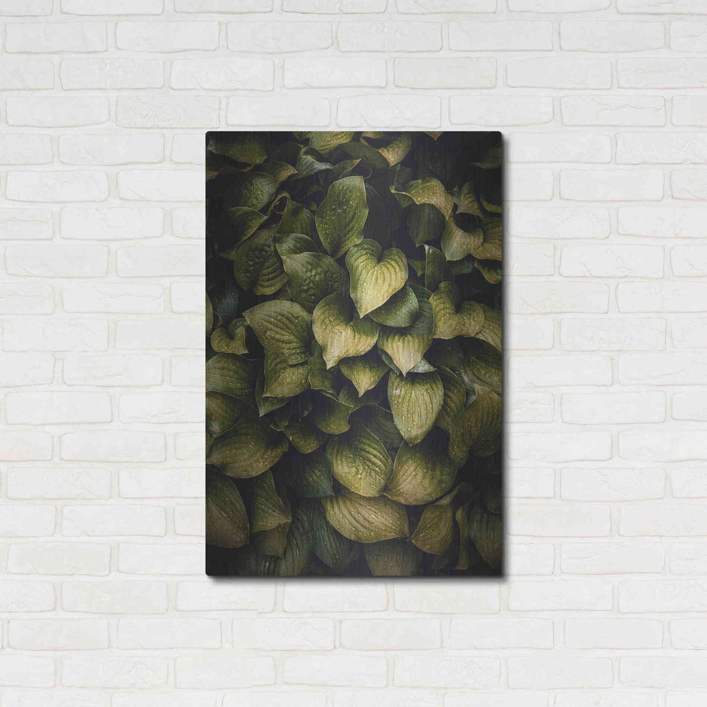 Luxe Metal Art 'Hostas Leaves' by Incado, Metal Wall Art,24x36