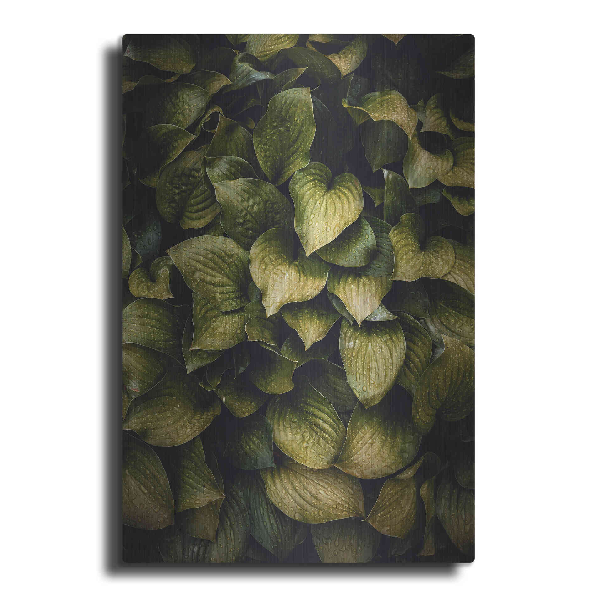 Luxe Metal Art 'Hostas Leaves' by Incado, Metal Wall Art