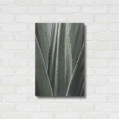 Luxe Metal Art 'Leaf I' by Incado, Metal Wall Art,16x24