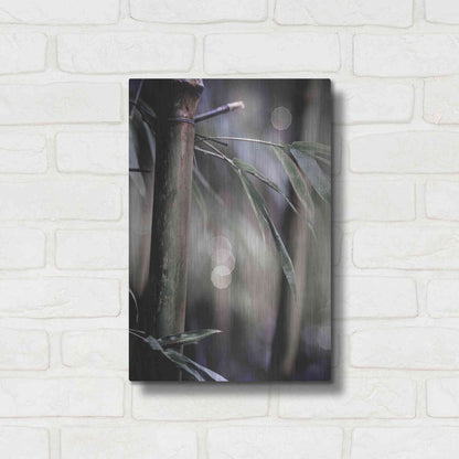 Luxe Metal Art 'Leaf IV' by Incado, Metal Wall Art,12x16