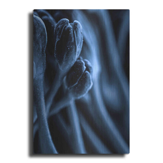 Luxe Metal Art 'Leaf VII' by Incado, Metal Wall Art