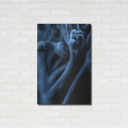 Luxe Metal Art 'Leaf VIII' by Incado, Metal Wall Art,24x36