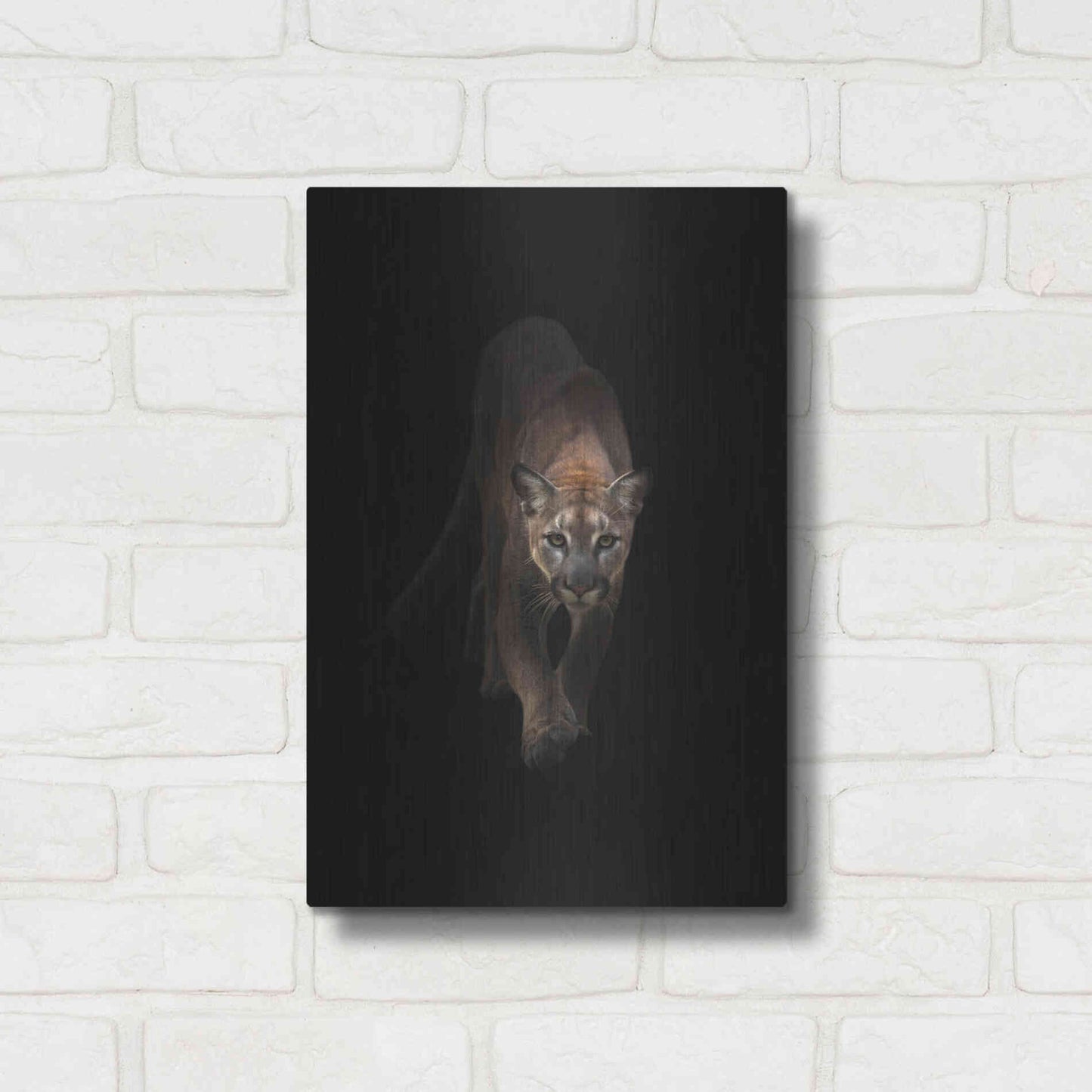Luxe Metal Art 'Lion' by Incado, Metal Wall Art,12x16
