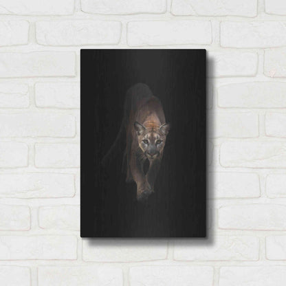Luxe Metal Art 'Lion' by Incado, Metal Wall Art,12x16
