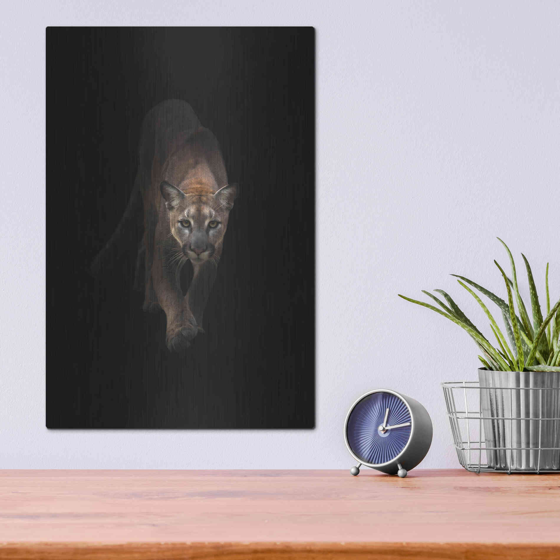 Luxe Metal Art 'Lion' by Incado, Metal Wall Art,12x16