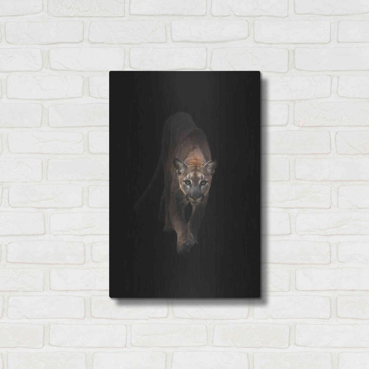 Luxe Metal Art 'Lion' by Incado, Metal Wall Art,16x24