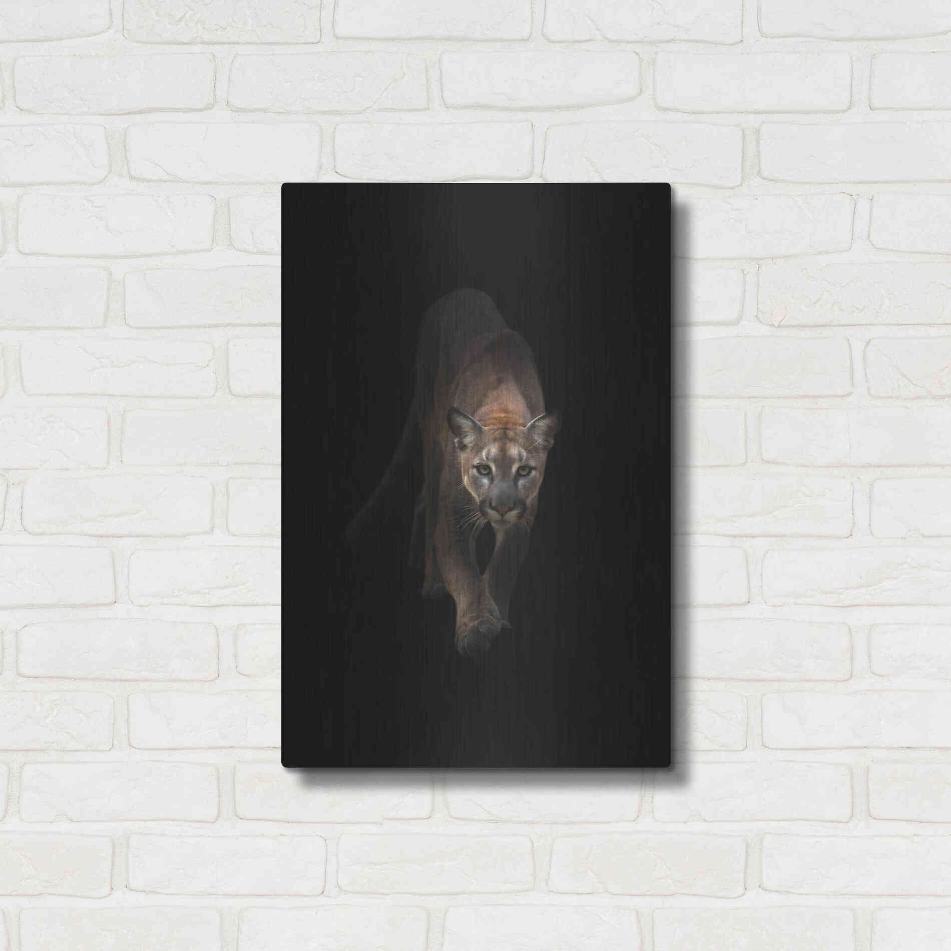 Luxe Metal Art 'Lion' by Incado, Metal Wall Art,16x24