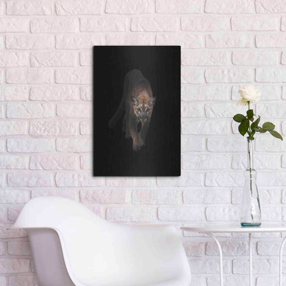 Luxe Metal Art 'Lion' by Incado, Metal Wall Art,16x24