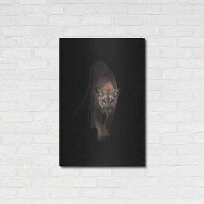 Luxe Metal Art 'Lion' by Incado, Metal Wall Art,24x36