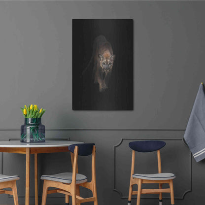 Luxe Metal Art 'Lion' by Incado, Metal Wall Art,24x36