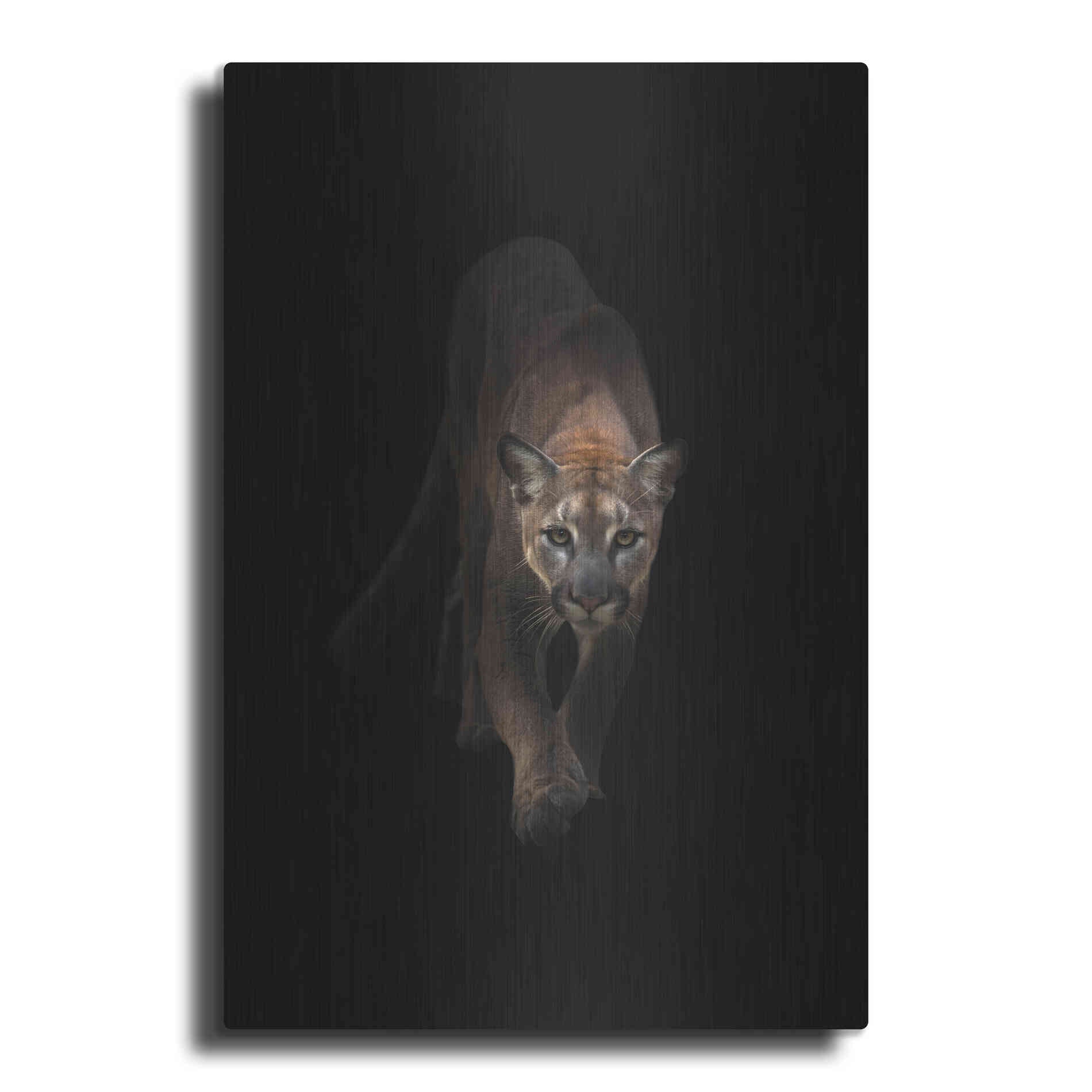 Luxe Metal Art 'Lion' by Incado, Metal Wall Art