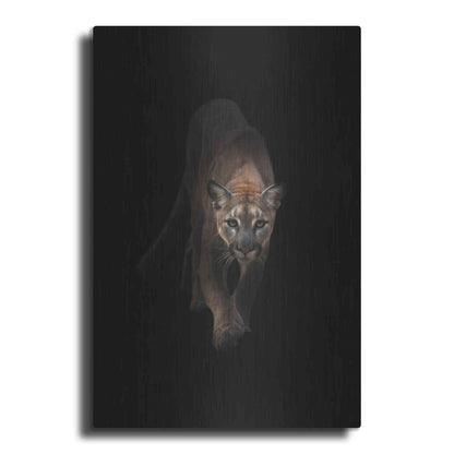 Luxe Metal Art 'Lion' by Incado, Metal Wall Art