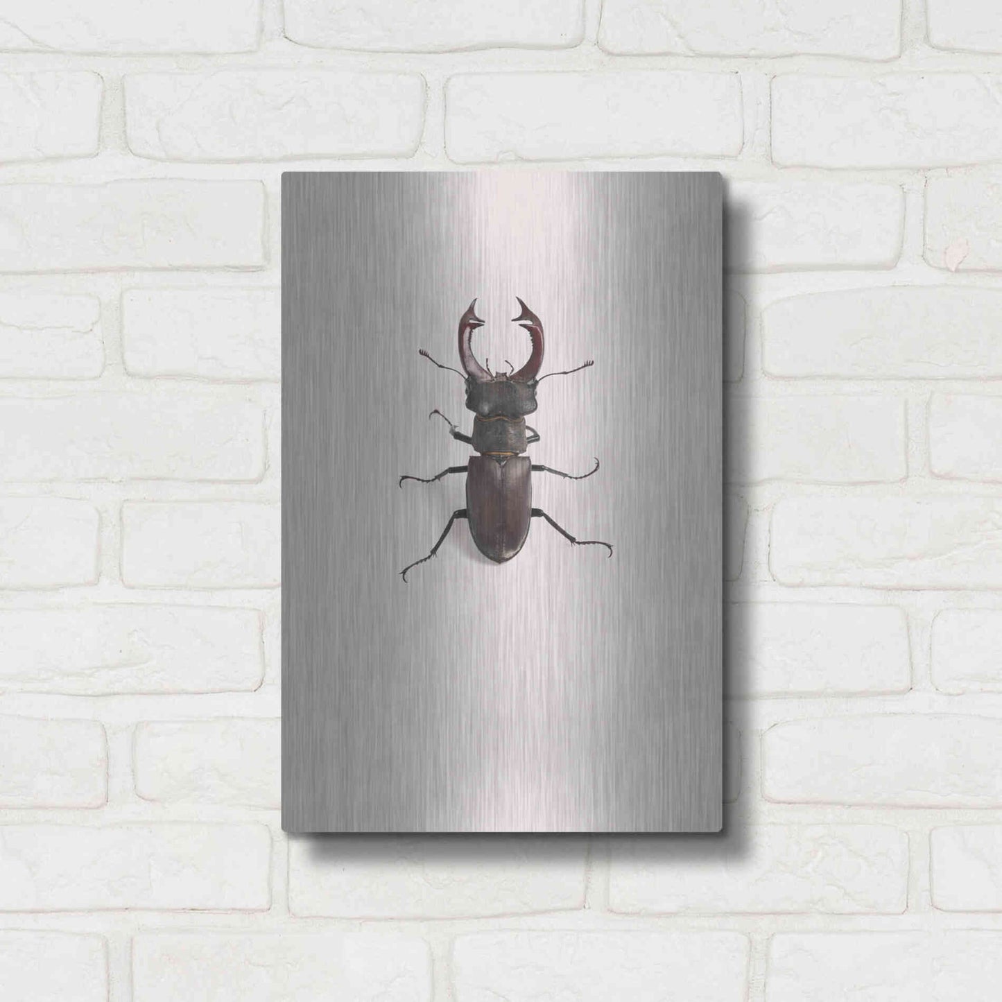 Luxe Metal Art 'Lucanus Cervus' by Incado, Metal Wall Art,12x16