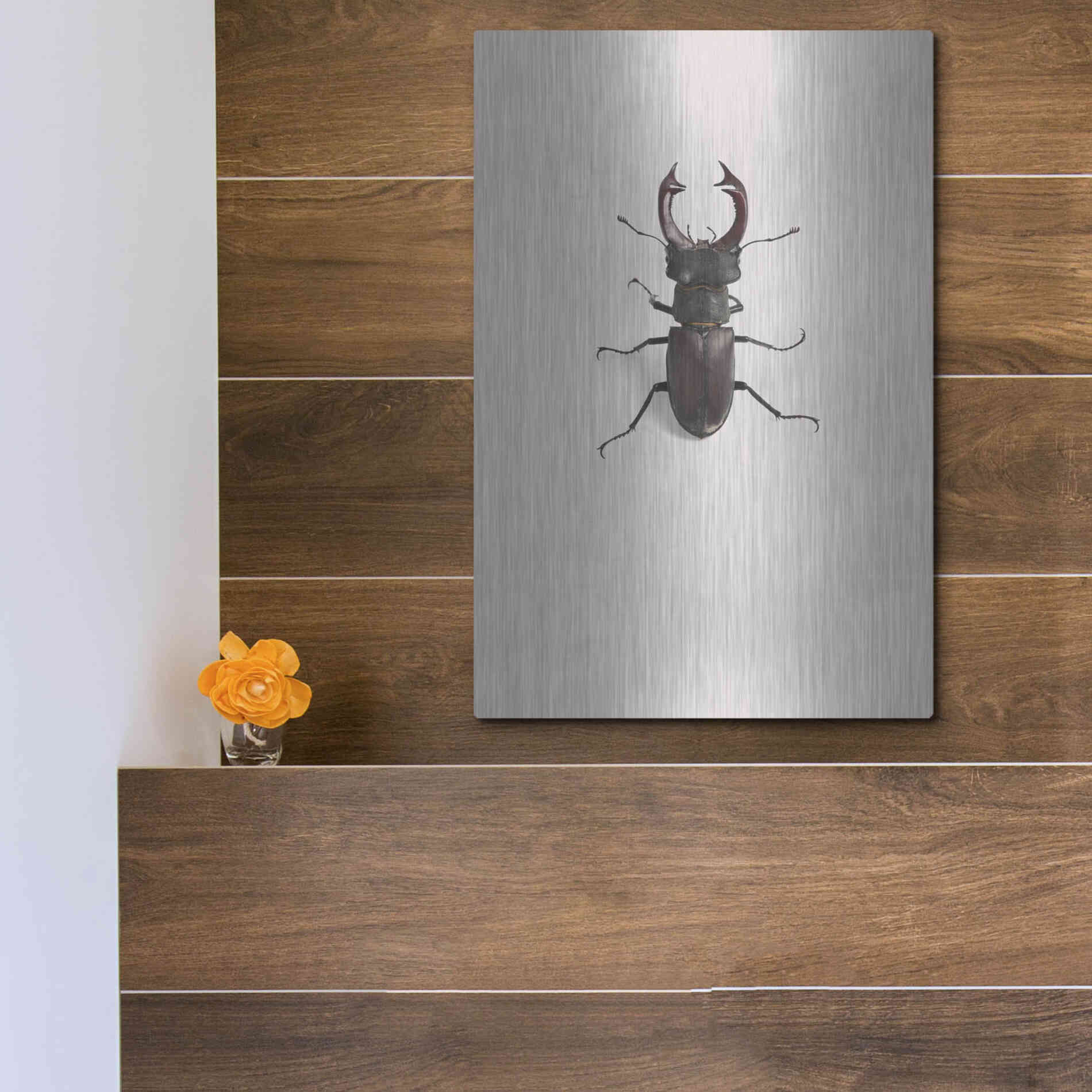 Luxe Metal Art 'Lucanus Cervus' by Incado, Metal Wall Art,12x16