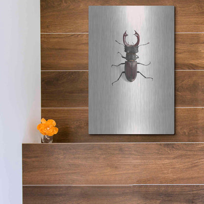 Luxe Metal Art 'Lucanus Cervus' by Incado, Metal Wall Art,12x16